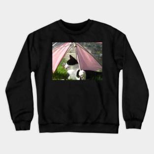 The Parasol Crewneck Sweatshirt